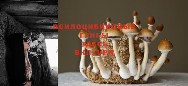 меф Абдулино